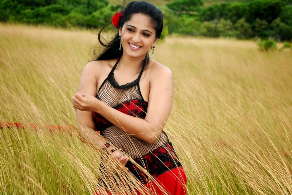 anushka shetty hot, bikini hot photos, bra size, sexy hot images, wallpaper pics, anushka shetty saree & bikini photoshoot