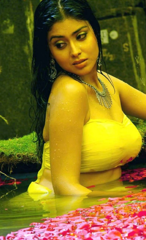 Shreya Saran hot pictures in Mazhai