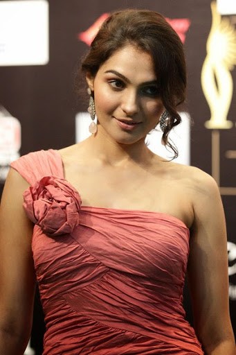 Andrea Jeremiah in Pink Color Dress at the IIFA Awards