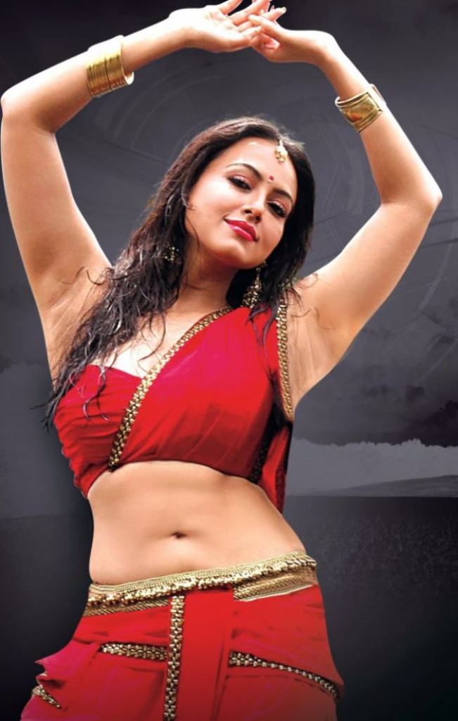 Oru Nadigayin Diary Actress Sana Khan Hot Photos