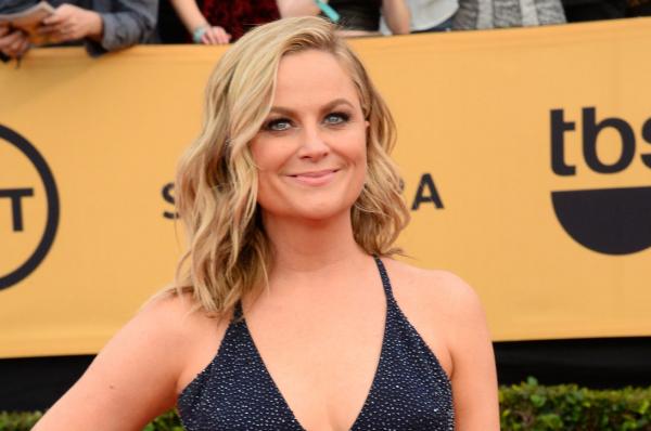 Hot pics of Amy Poehler